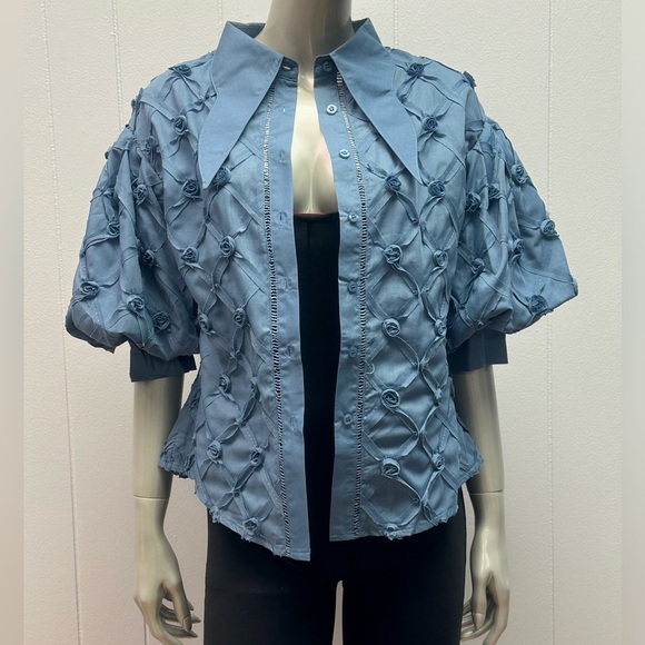 Rose Bud Blue Puff Sleeves Pointed Collar Button Down Blouse - Picture 2 of 7